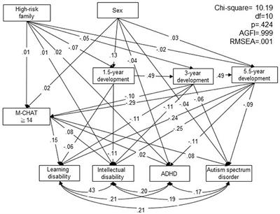 Families with high-risk characteristics and diagnoses of attention-deficit/hyperactivity disorder, autism spectrum disorder, intellectual disability, and learning disability in children: A national birth cohort study